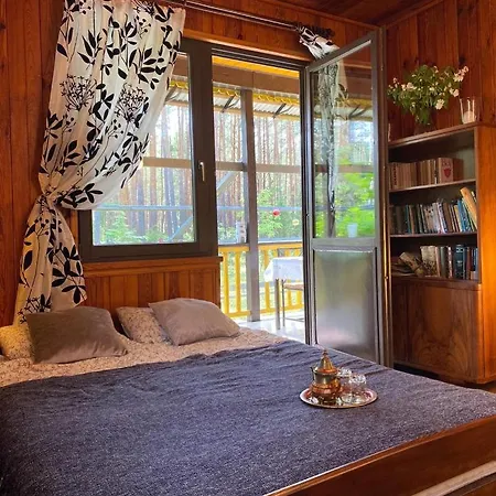 Leśny Czar Dom wakacyjny