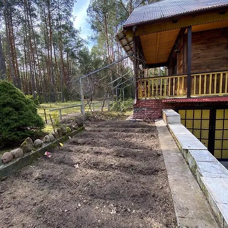 Leśny Czar * Serock