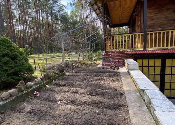 Leśny Czar * Serock