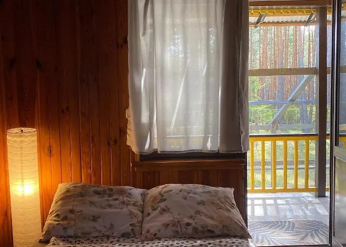 Dom wakacyjny Leśny Czar *